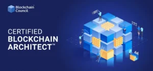 What Role Do Layer 1 Blockchains Play in Decentralized Tech