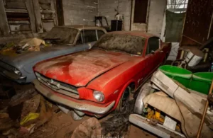 Why Are Restored Vehicles So Popular in Today’s Market